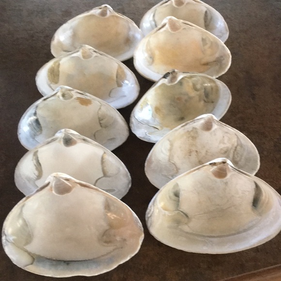 Other - 4/$15👀 Set of 10 clam shells